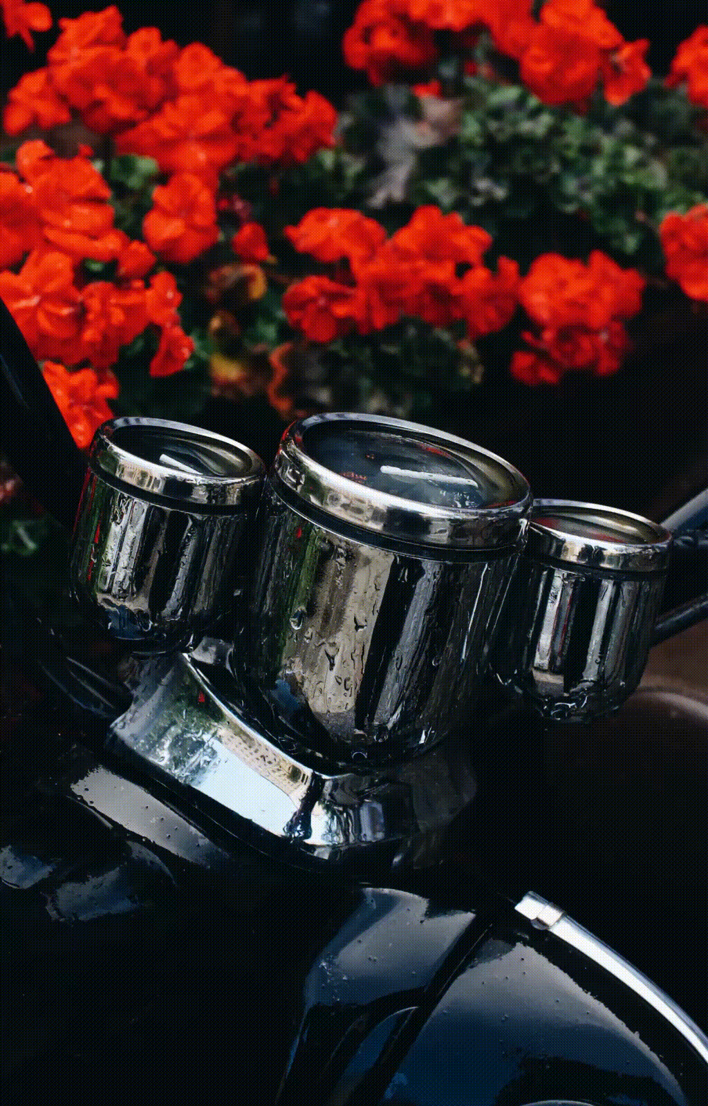 Loves_Club_Branding_Ana_Garcia_Segura_Studio 